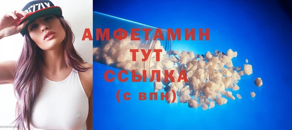 индика Пестово