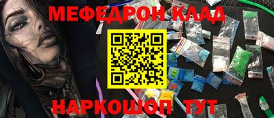 шишки Аргун