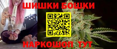 шишки Аргун