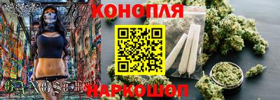 шишки Аргун