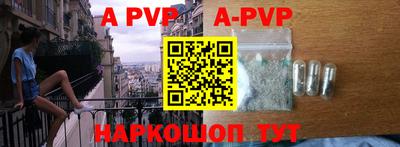 шишки Аргун