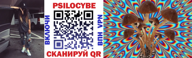 как найти   mega   Галлюциногенные грибы Magic Shrooms  Торжок 