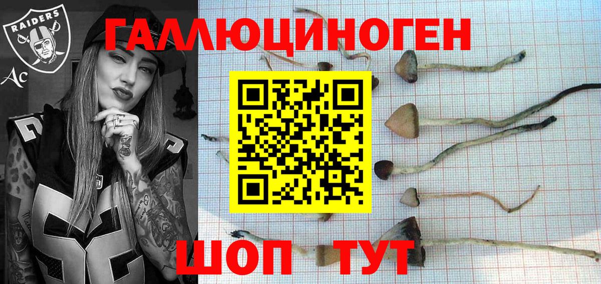 Псилоцибиновые грибы мицелий  Галлюциногенные грибы Psilocybe  Торжок  Вход с VPN 